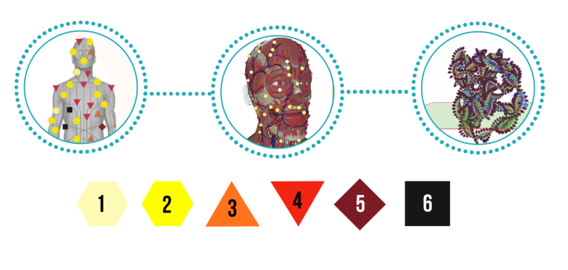 L'analyse du Métatron