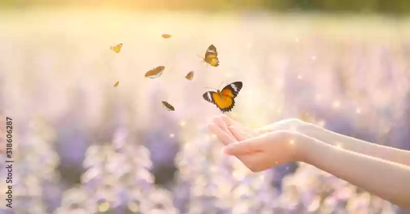 Une main avec des papillons