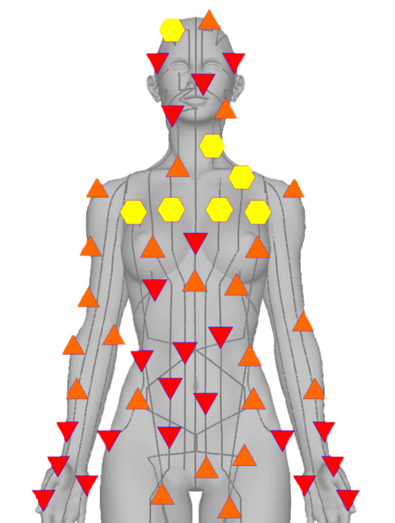 Représentation du corps humain fait par le métatron